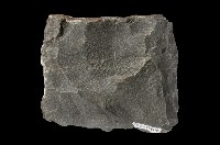 Meta-sandstone Collection Image, Figure 4, Total 9 Figures